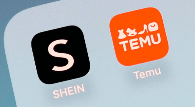 SHEIN y TEMU : ¿Revolución del consumo o desafío económico?